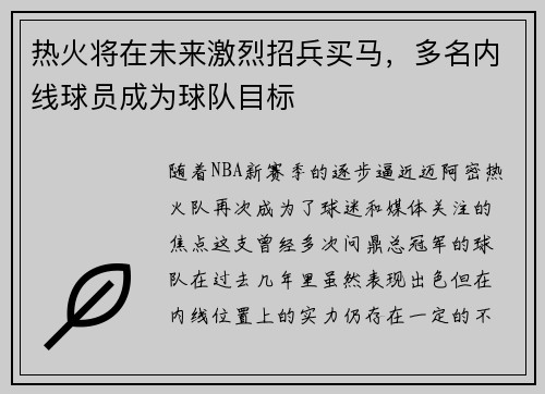 热火将在未来激烈招兵买马，多名内线球员成为球队目标