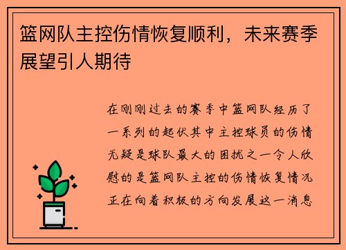 篮网队主控伤情恢复顺利，未来赛季展望引人期待